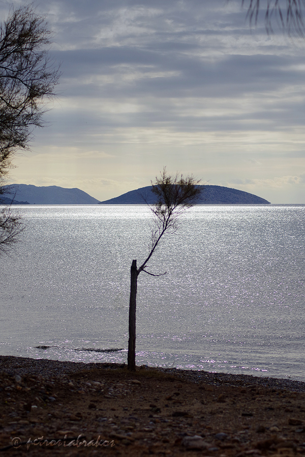 photo "all alone" tags: landscape, nature, travel, tree loneliness seascape
