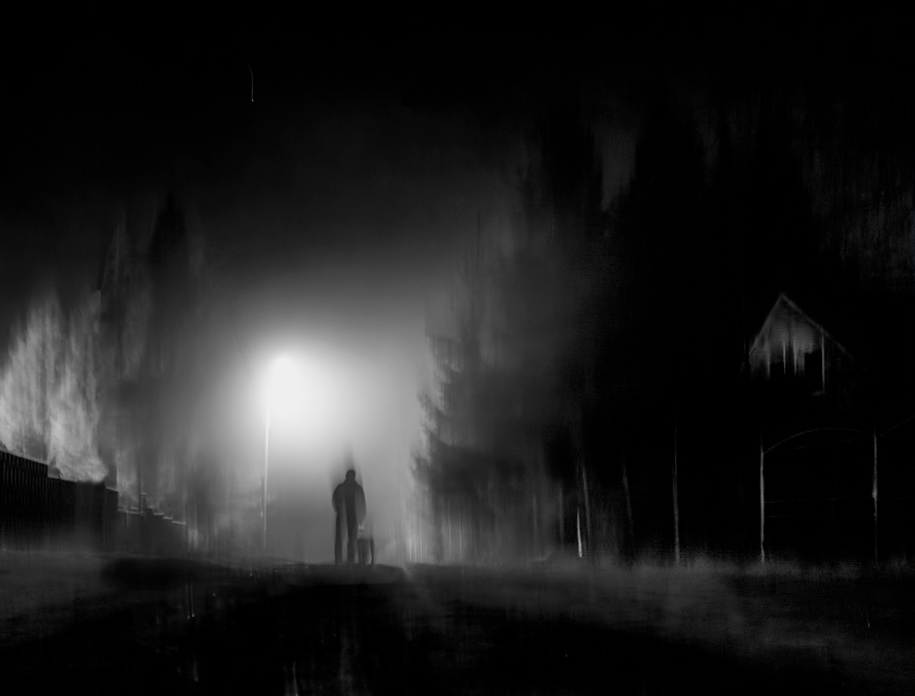 photo "***" tags: landscape, genre, fog, night, силуэт