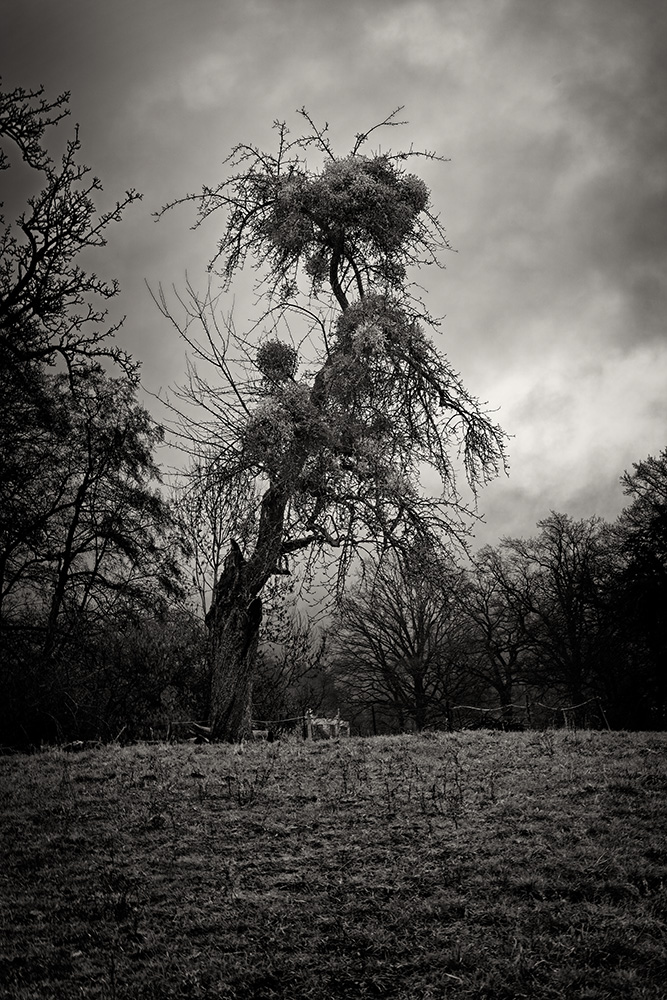 photo "***" tags: landscape, black&white, Europe