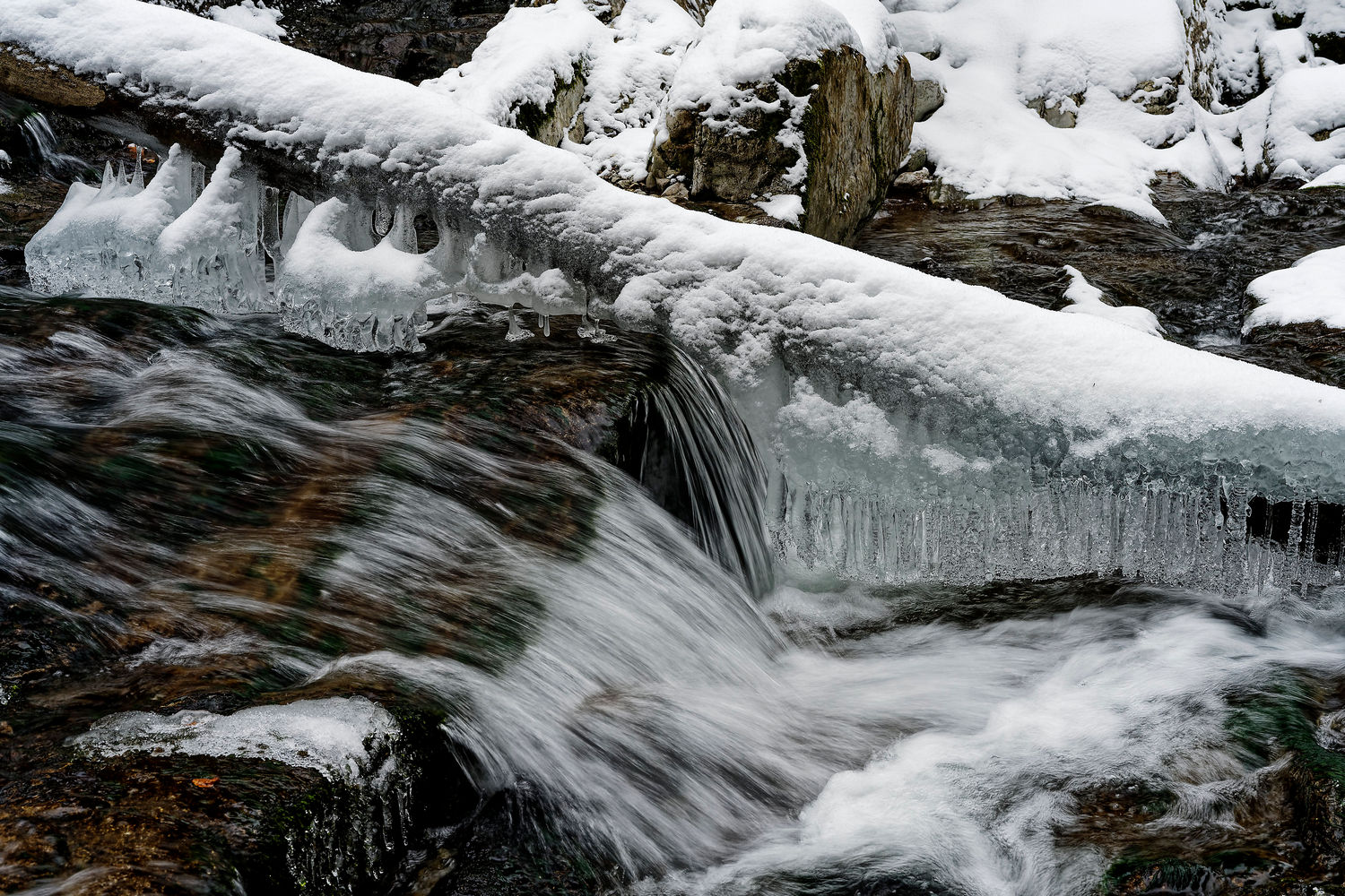 photo "Rottach" tags: landscape, Europe, forest, water, winter