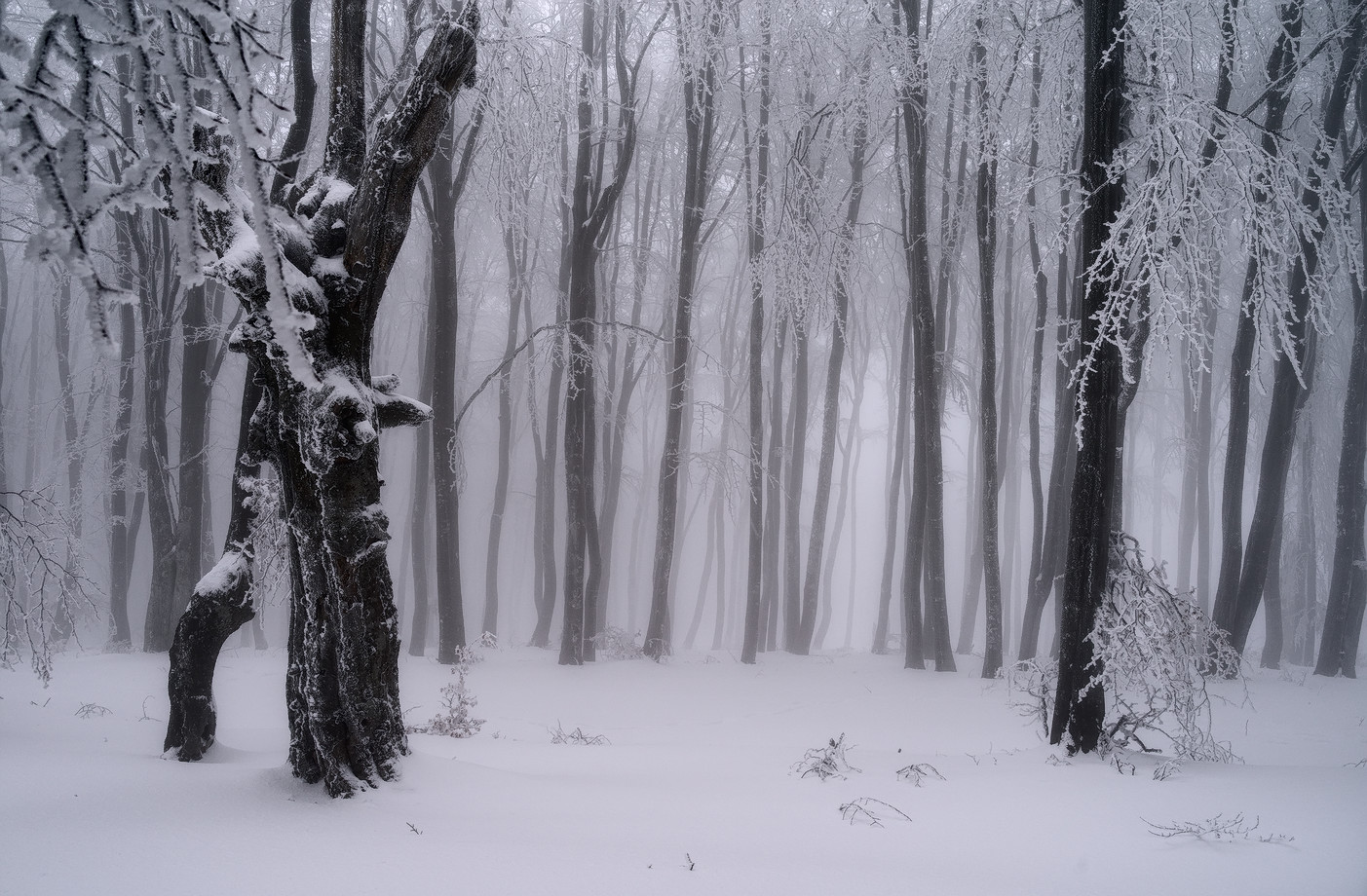 фото "***" метки: пейзаж, природа, 