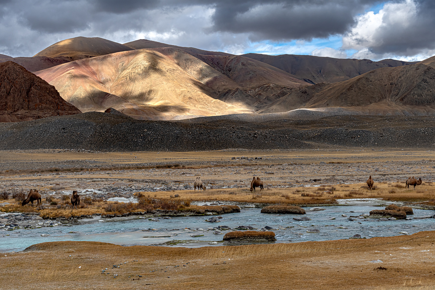 фото "Монголия" метки: , Монголия, горы, осень, река