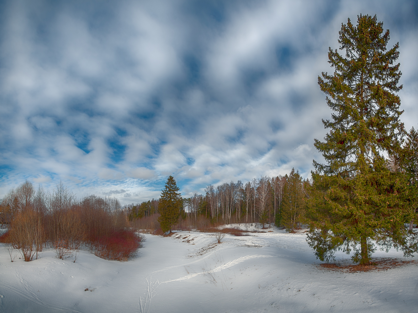 photo "***" tags: landscape, 
