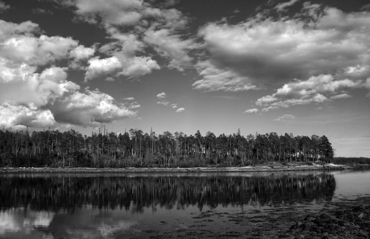 фото "***" метки: , 
