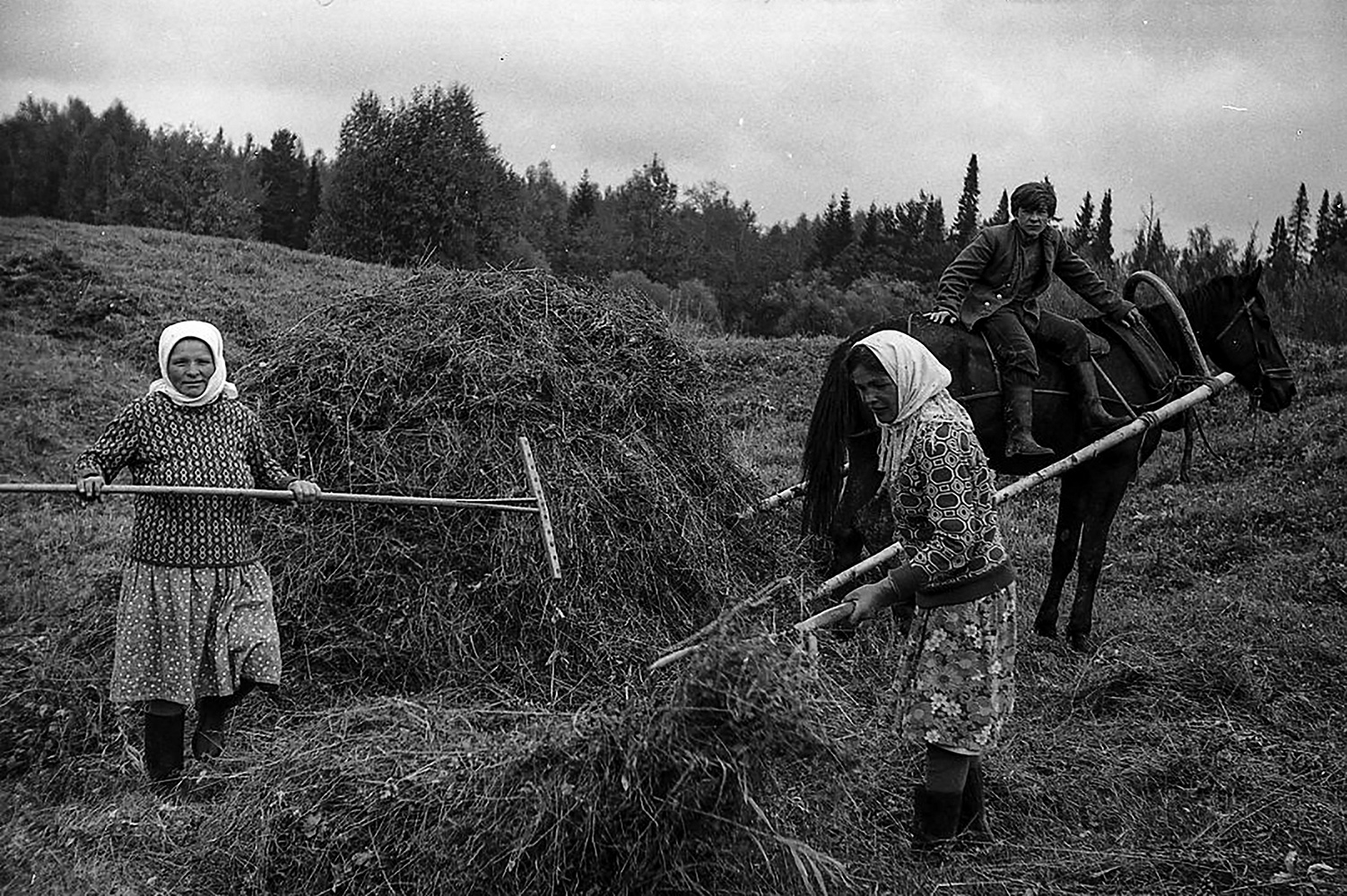 фото "1974г. Прокопьевка. Сенокос 2." метки: репортаж, 