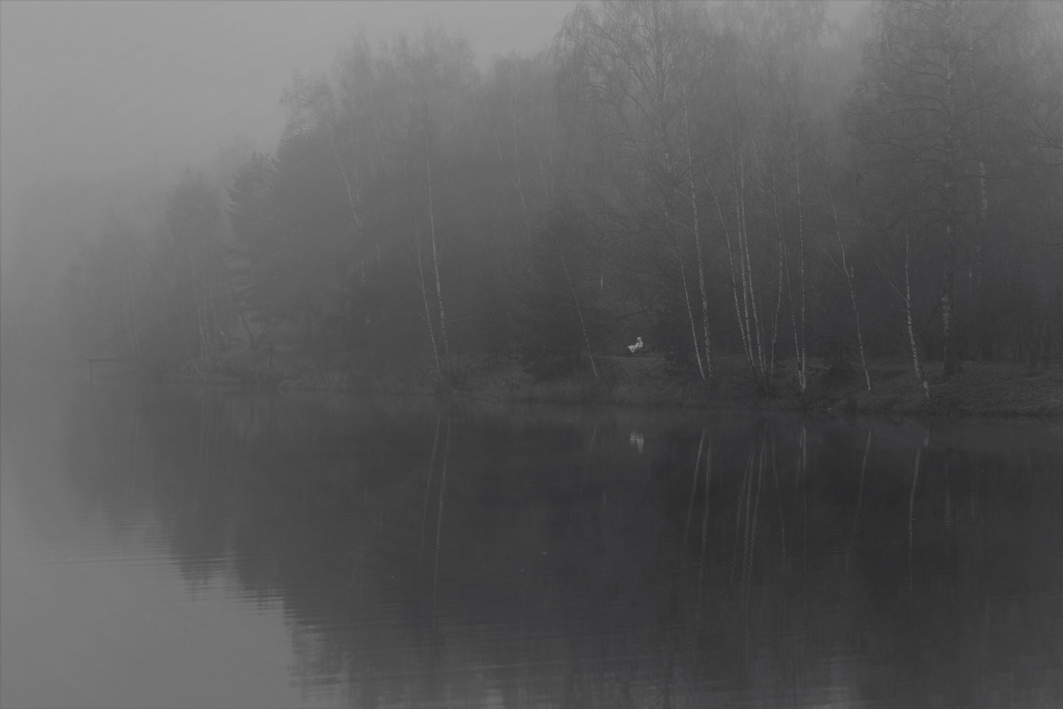 photo "***" tags: black&white, landscape, 