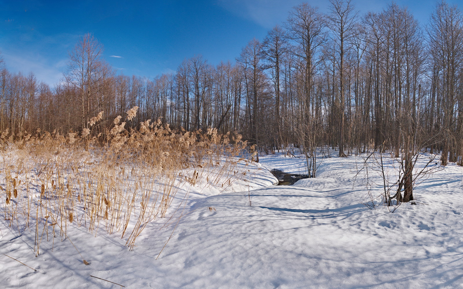 photo "***" tags: nature, landscape, 