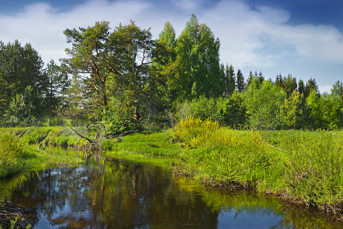 photo "***" tags: landscape, travel, nature, grass, river, sky, water, деревья