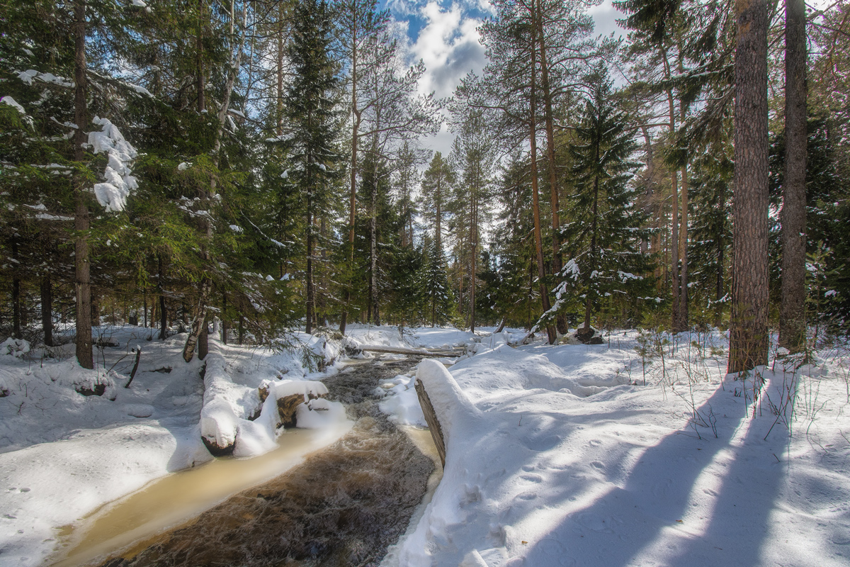 фото "Вешние воды" метки: пейзаж, 