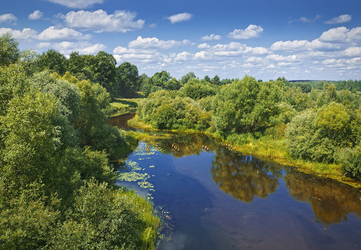 photo "***" tags: landscape, nature, travel, grass, river, sky, water, деревья