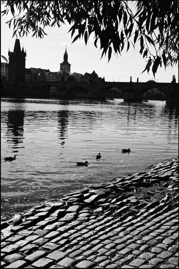 photo "У Влтаву-14" tags: black&white, Prag Prague Praha