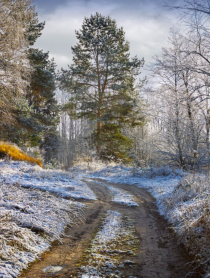фото "По просёлочной дороге" метки: пейзаж, путешествия, природа, глубинка, деревья, дорога, лес, снег