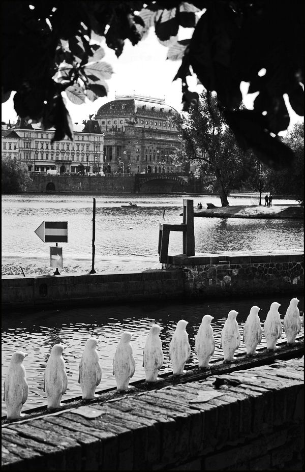фото "Вид с Кампы-6" метки: черно-белые, Prag Prague Praha