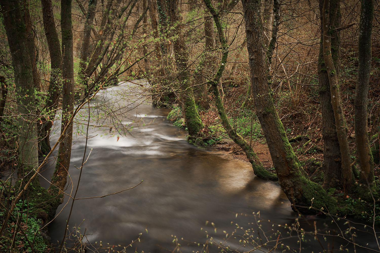 photo "***" tags: landscape, nature, Europe, forest, spring, water