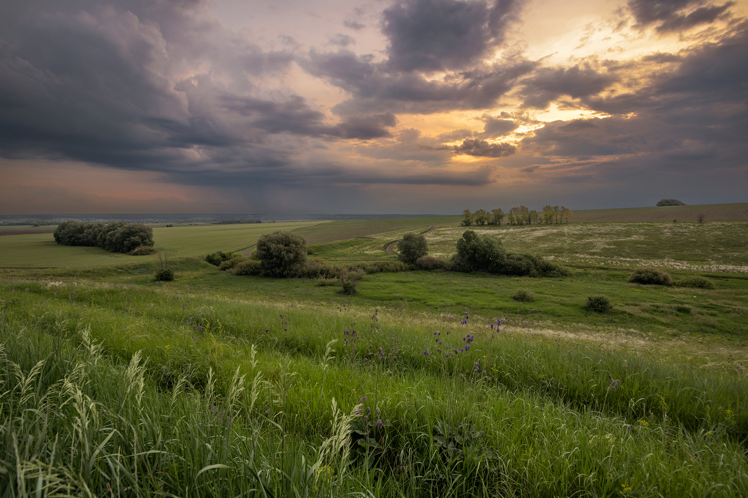 фото "***" метки: пейзаж, 