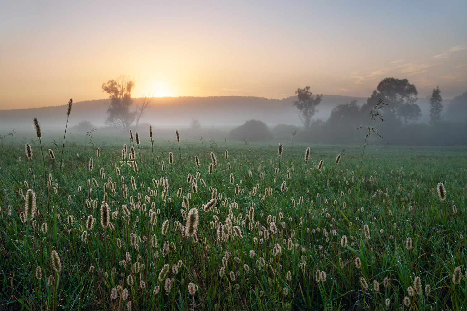 photo "***" tags: landscape, 