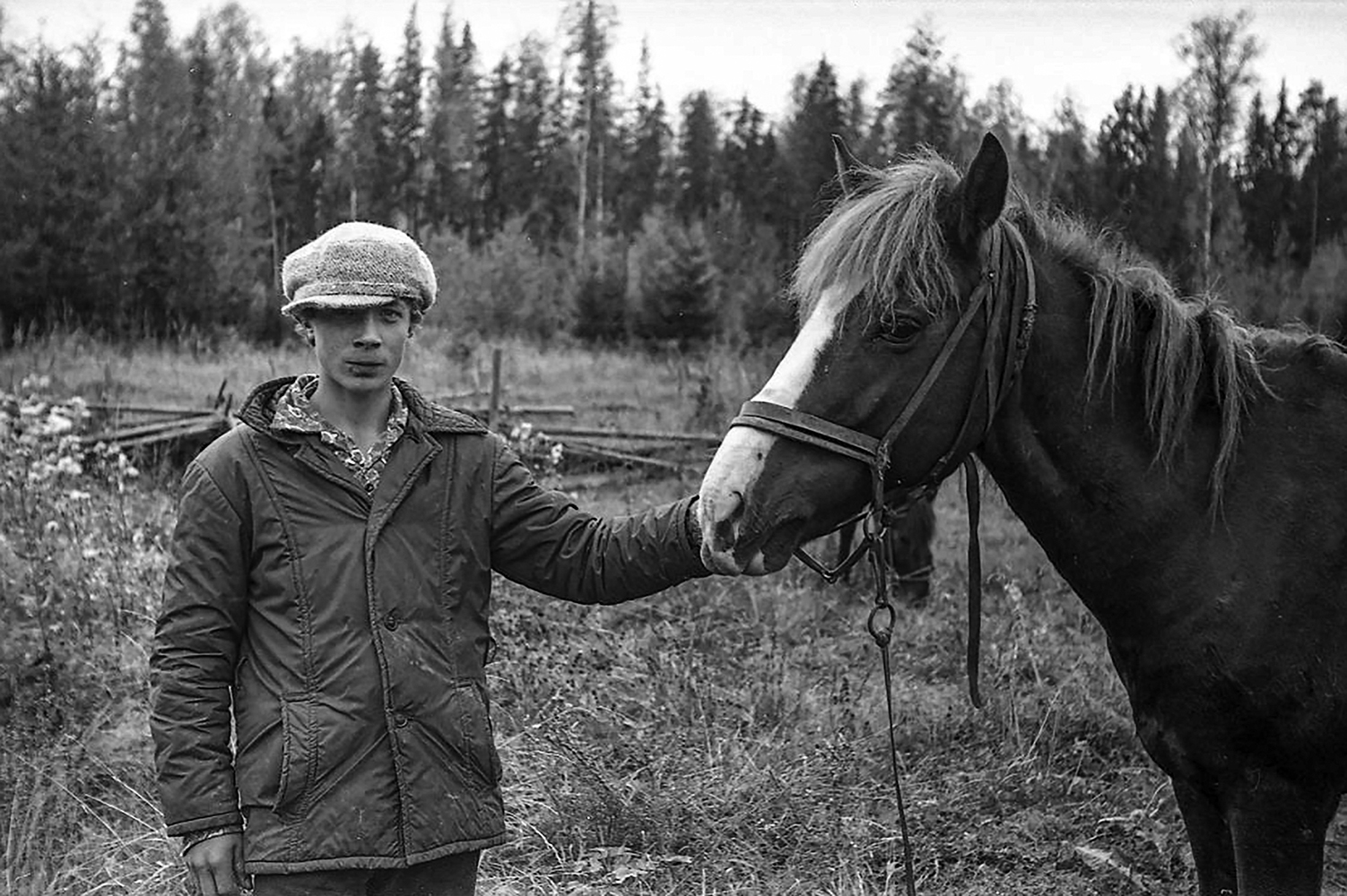 фото "1974 г. Сенокос под Прокофьевкой. Верные друзья." метки: репортаж, 