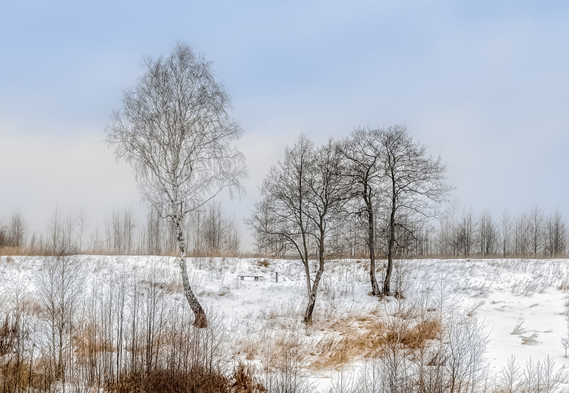 фото "Зимняя зарисовка" метки: пейзаж, 