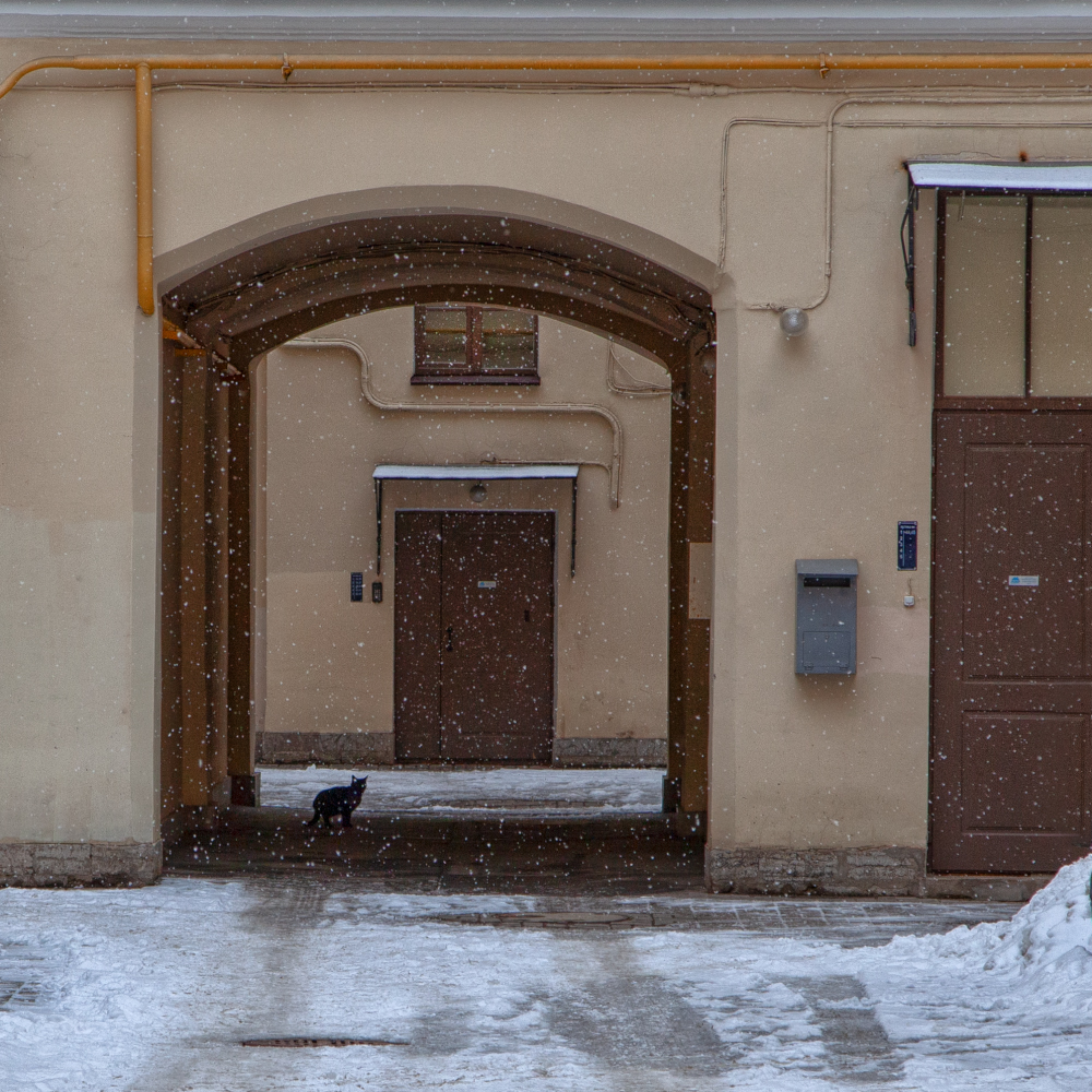 photo "***" tags: street, city, 