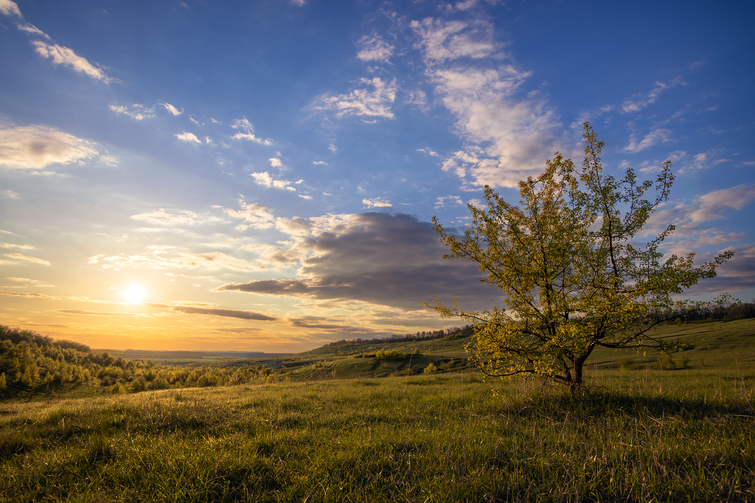 photo "***" tags: landscape, 