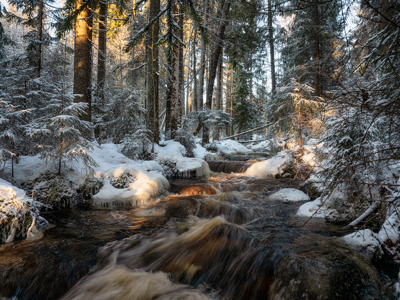 photo "***" tags: landscape, river, winter, Ленинградская область