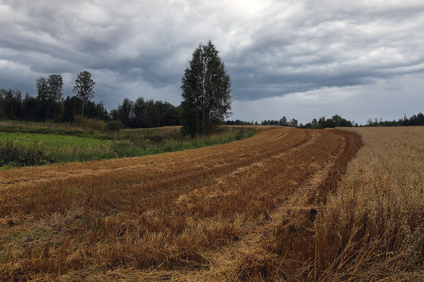 photo "***" tags: landscape, 
