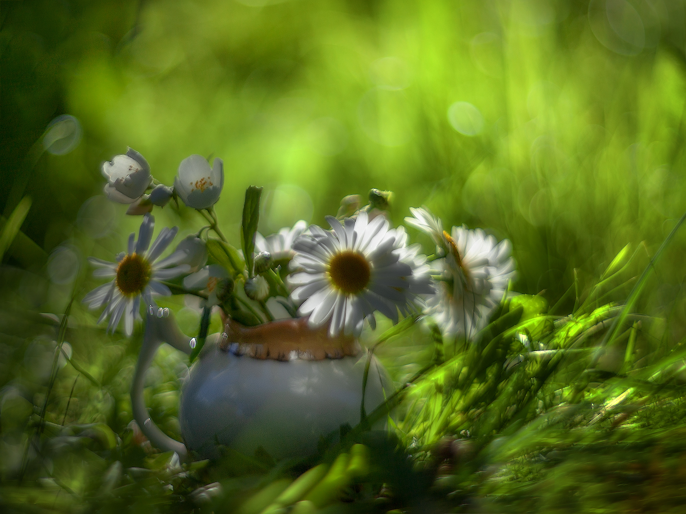 photo "***" tags: nature, still life, 