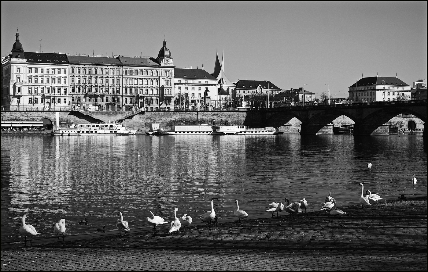 photo "У Влтаву-15" tags: black&white, Prag Prague Praha
