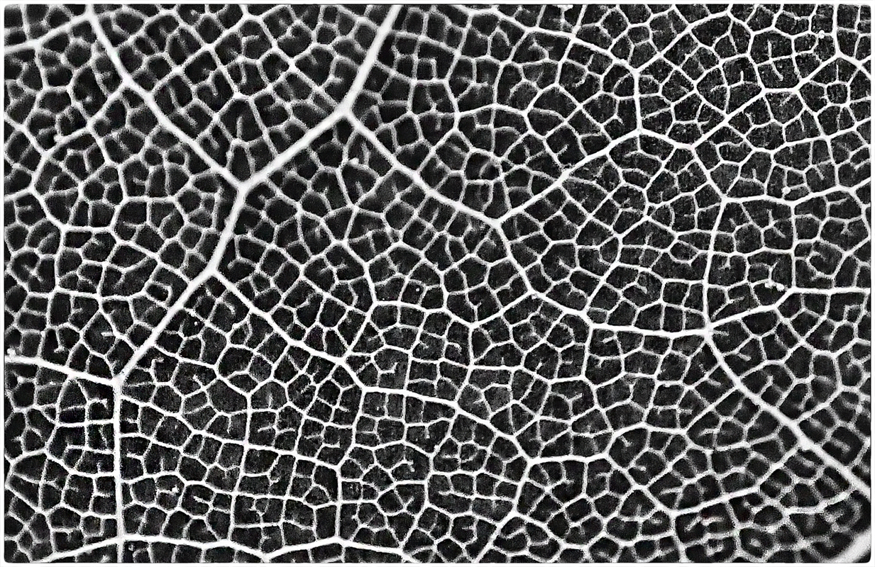 photo "***" tags: black&white, abstract, misc., 