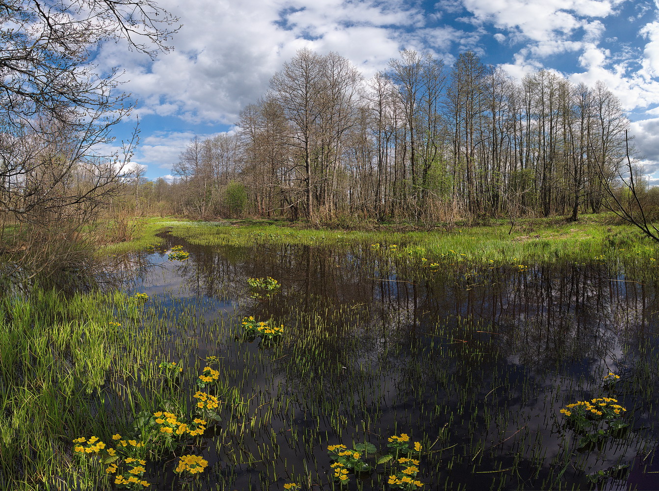 photo "***" tags: nature, landscape, 