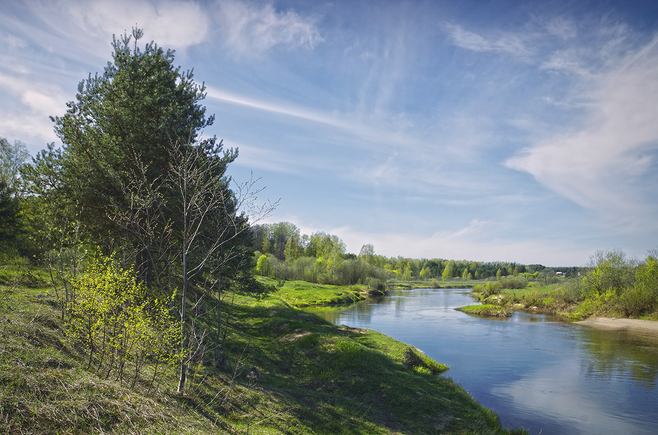 photo "***" tags: landscape, nature, coast, grass, reflections, river, sky, spring, water, глубинка, деревья