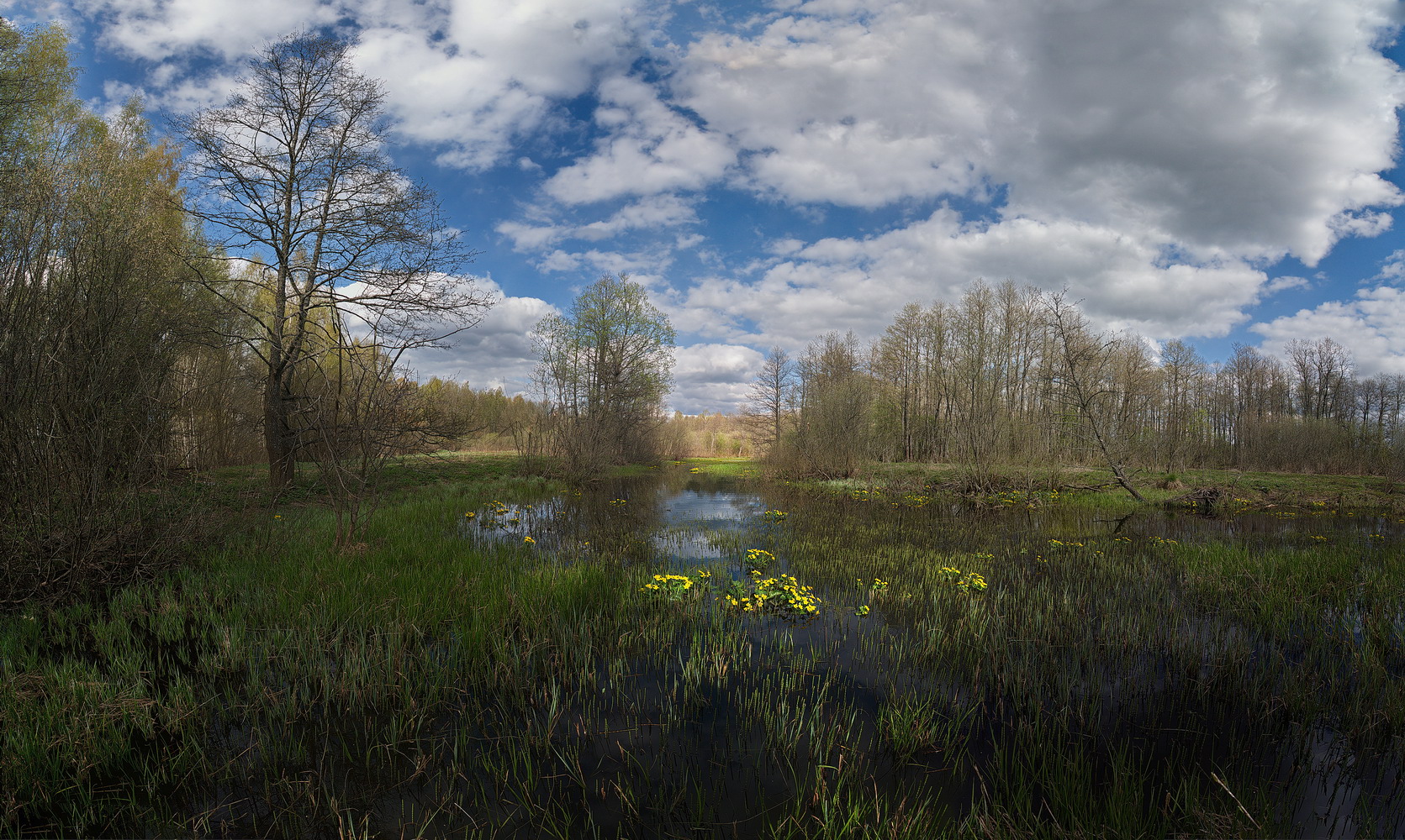 photo "***" tags: landscape, nature, 