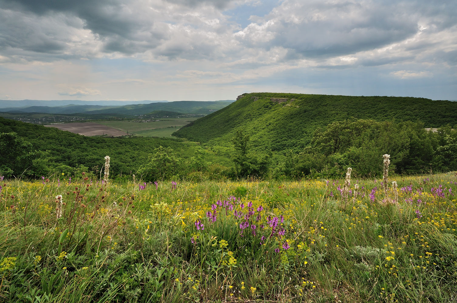 photo "***" tags: landscape, clouds, forest, mountains