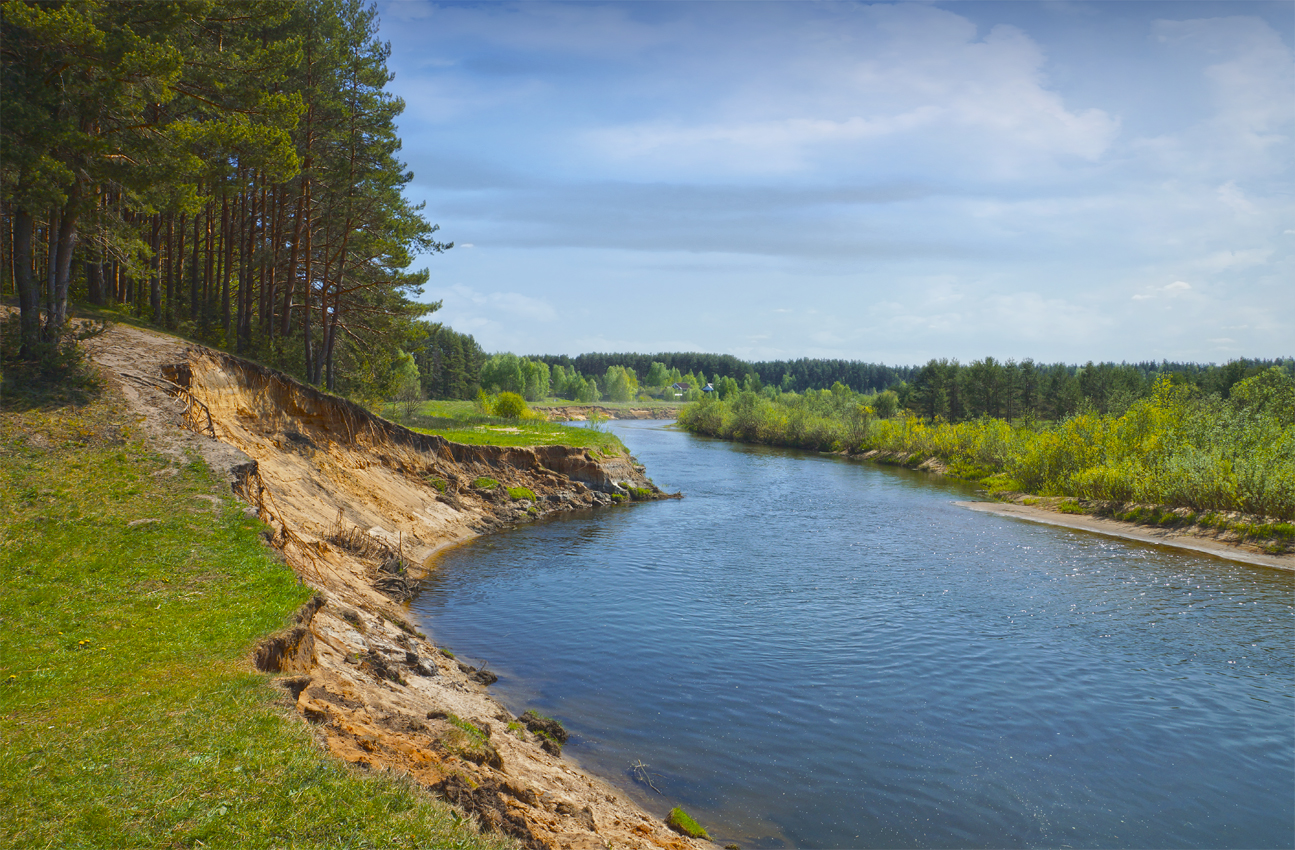 photo "***" tags: landscape, coast, forest, river, sky, spring, water, глубинка, деревья