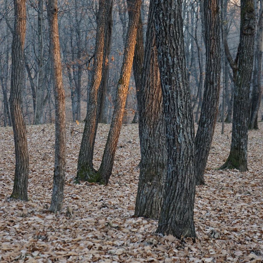 photo "***" tags: landscape, nature, 