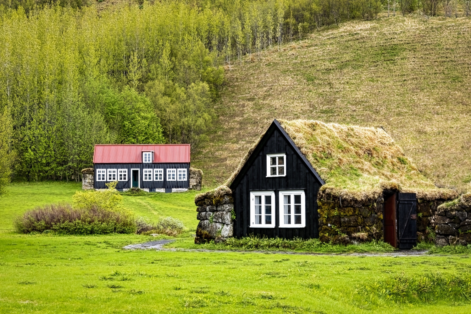 photo "Icelanders used to live in such houses" tags: misc., 