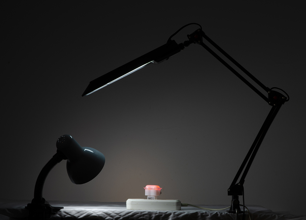 photo "***" tags: still life, 