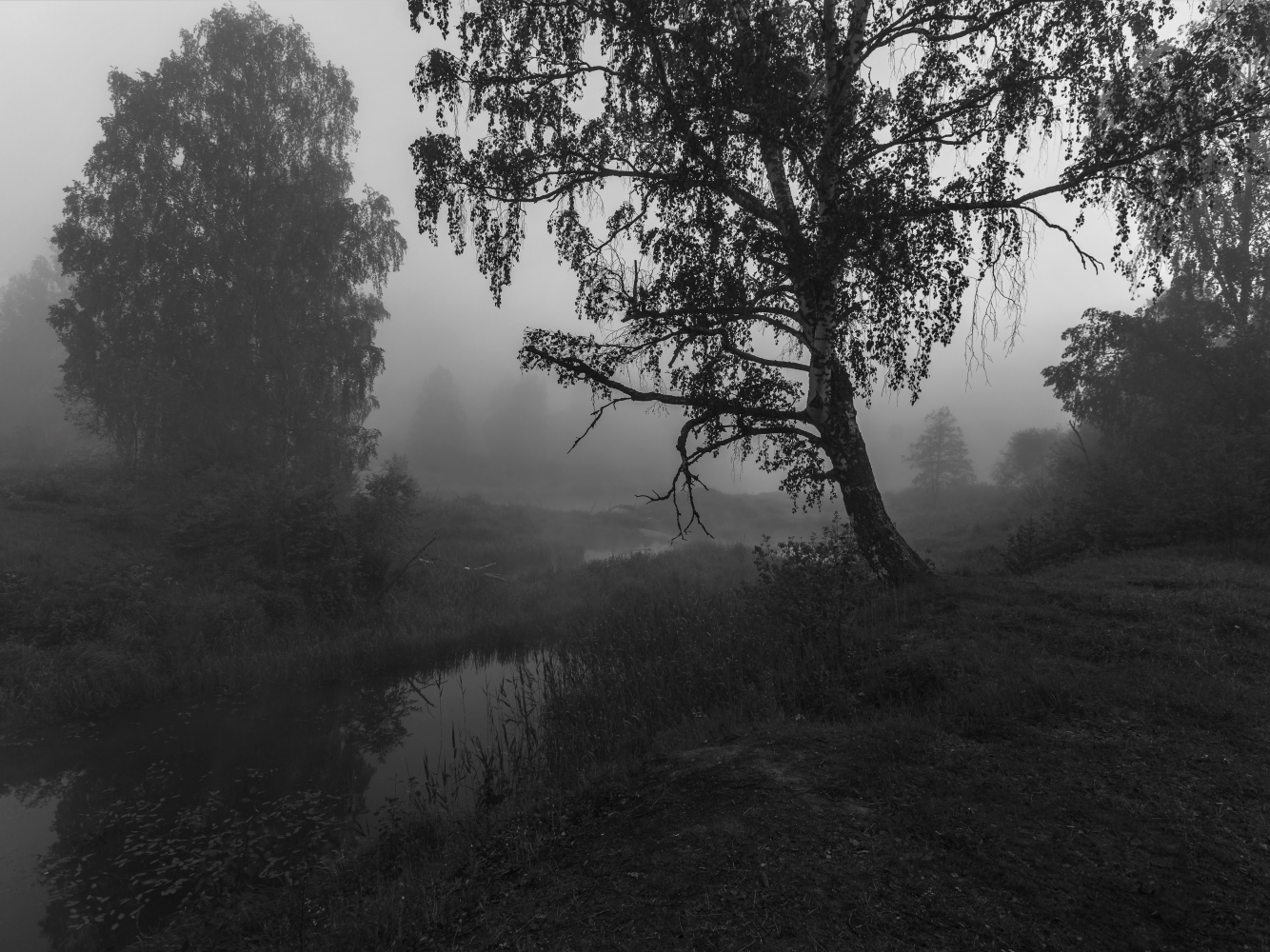photo "***" tags: black&white, landscape, 