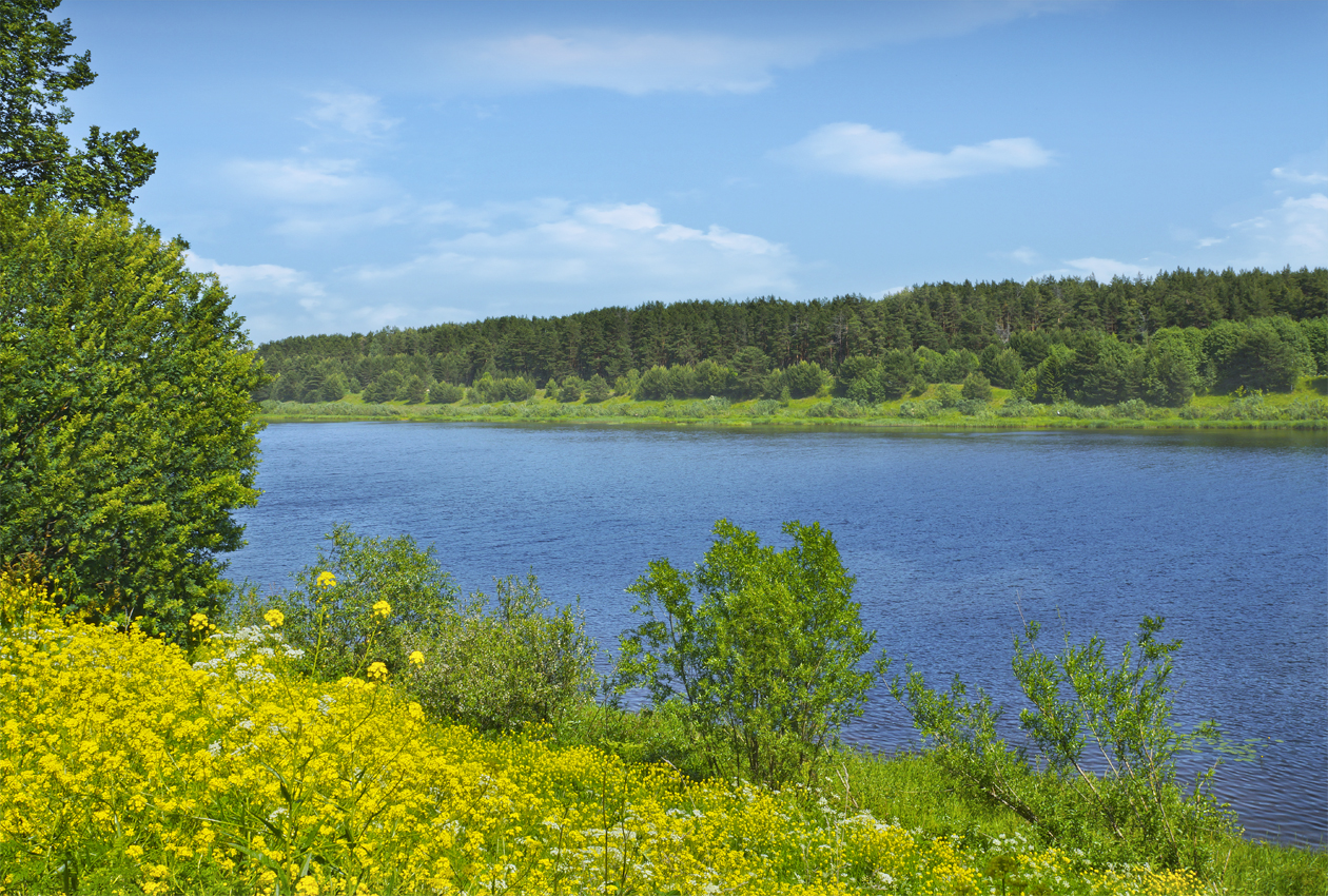 photo "***" tags: landscape, coast, flowers, grass, river, sky, water