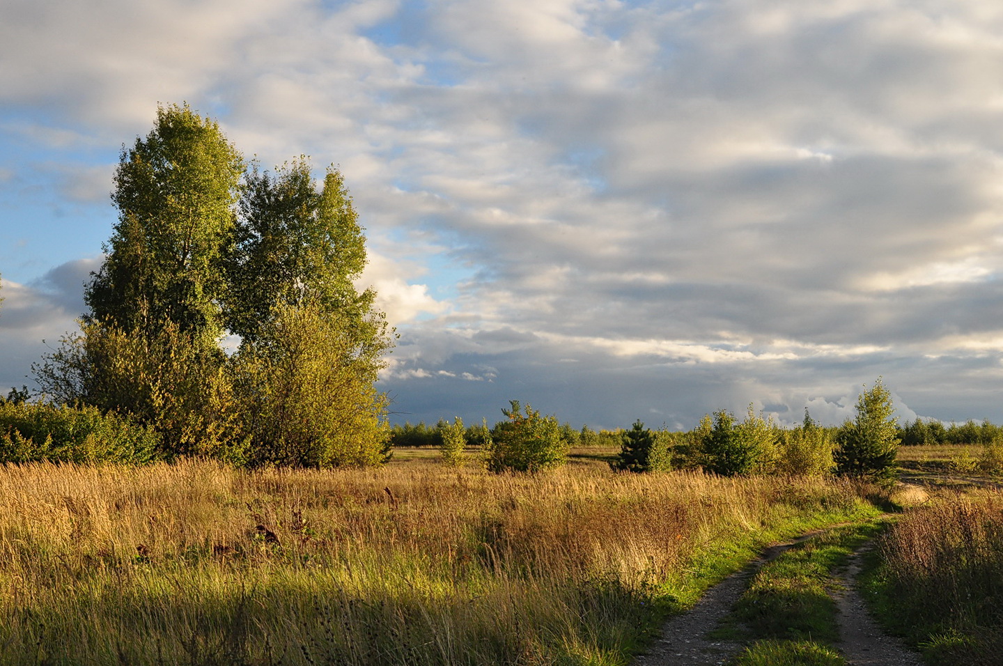 photo "***" tags: landscape, nature, 