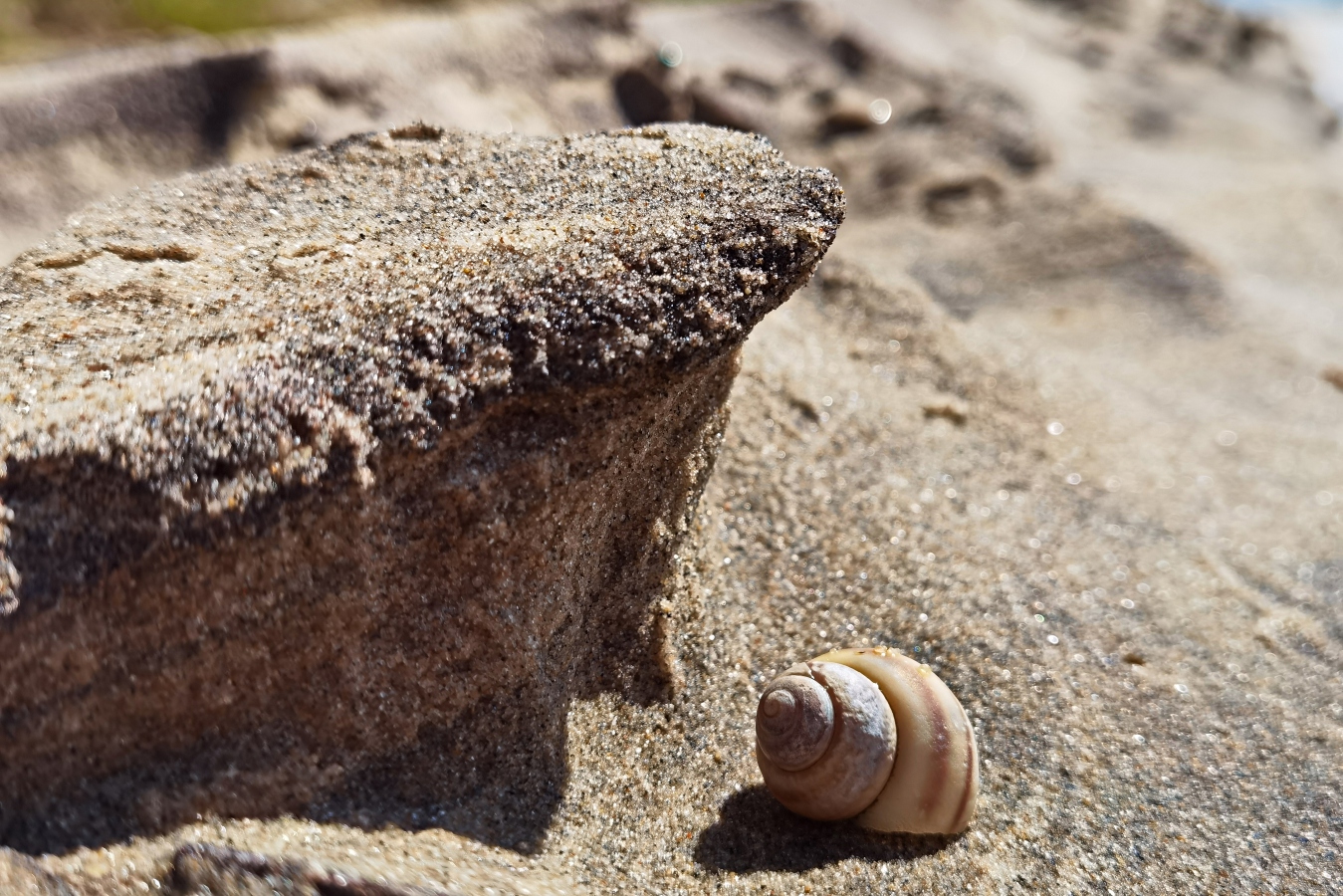 photo "***" tags: travel, macro and close-up, 