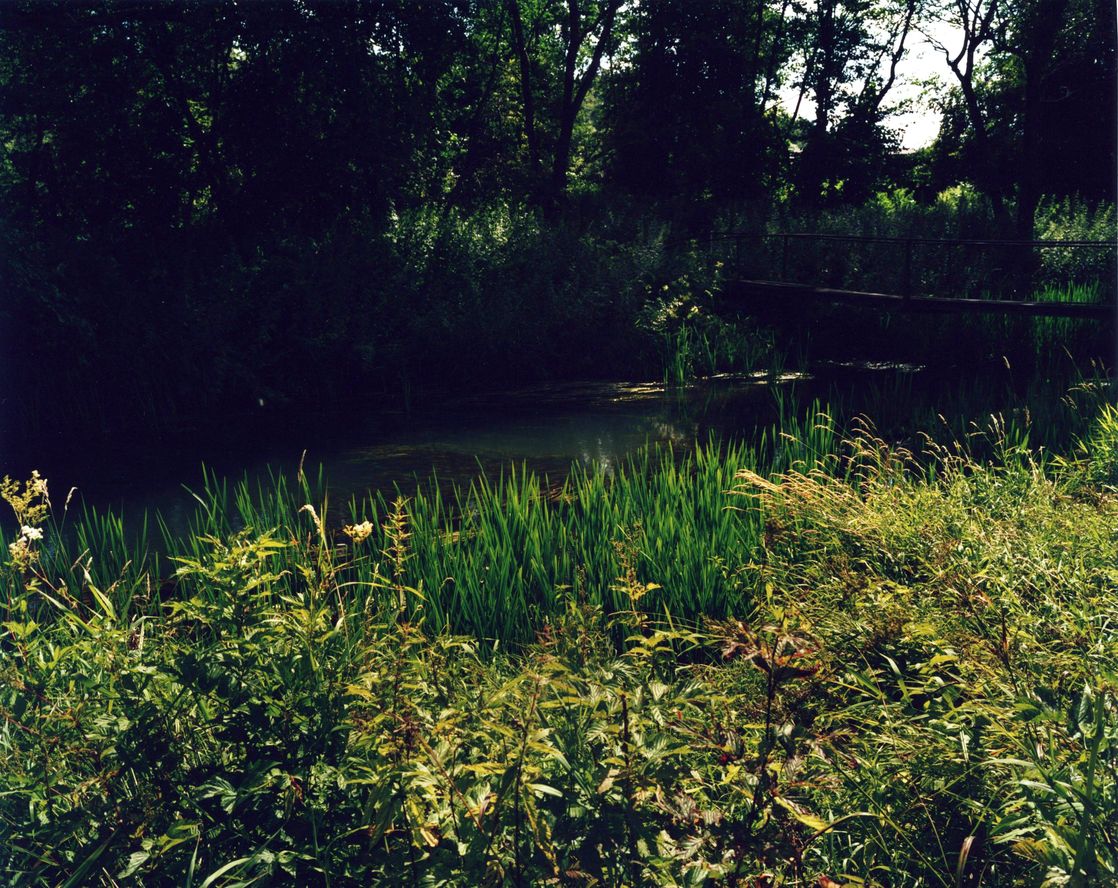 photo "***" tags: , 