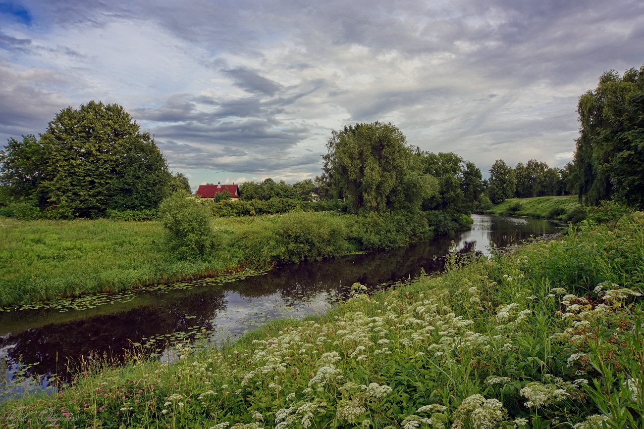 photo "***" tags: landscape, nature, river, summer