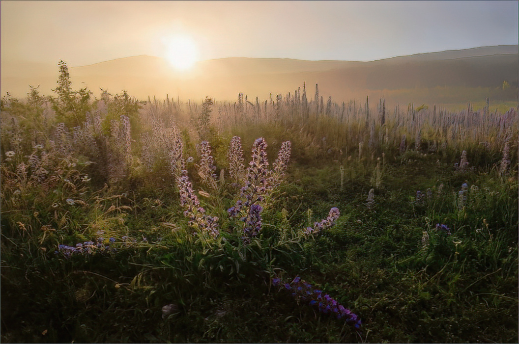 photo "***" tags: landscape, nature, 