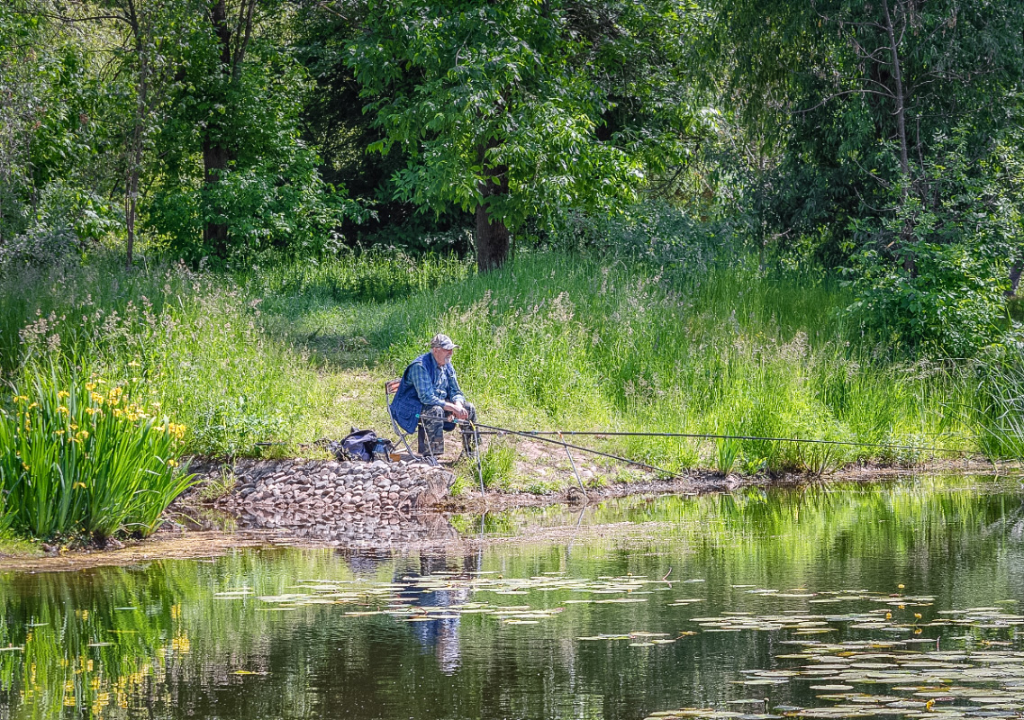 фото "Релаксация" метки: природа, 