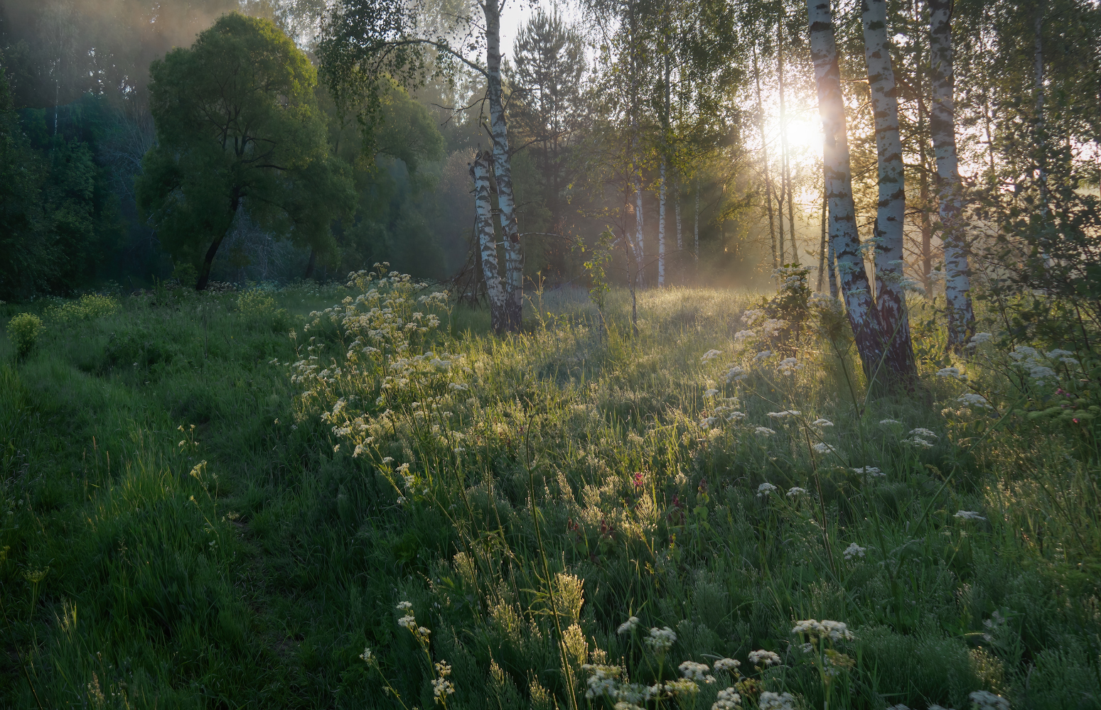 фото "***" метки: пейзаж, 