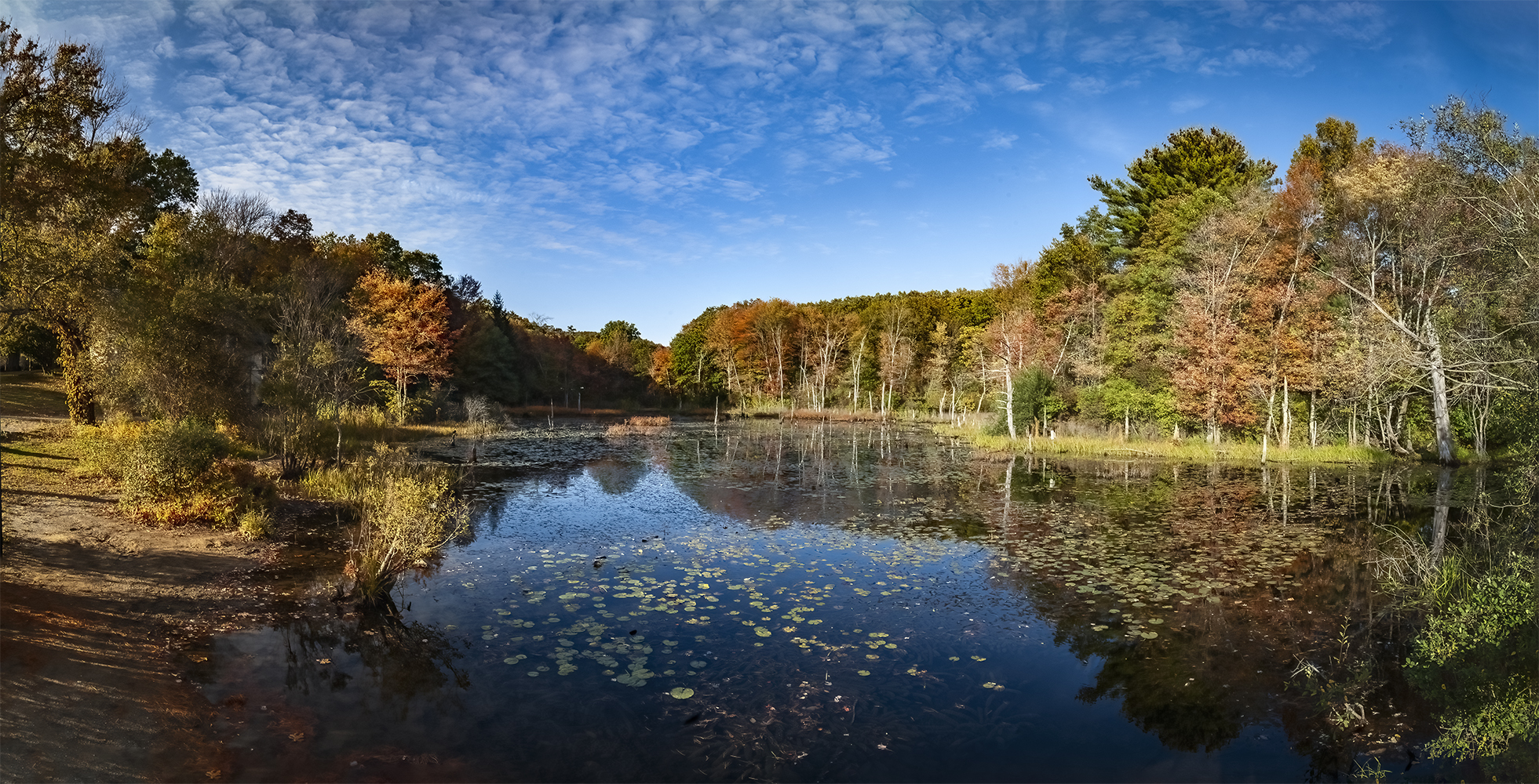 photo "Fall in New England" tags: landscape, 