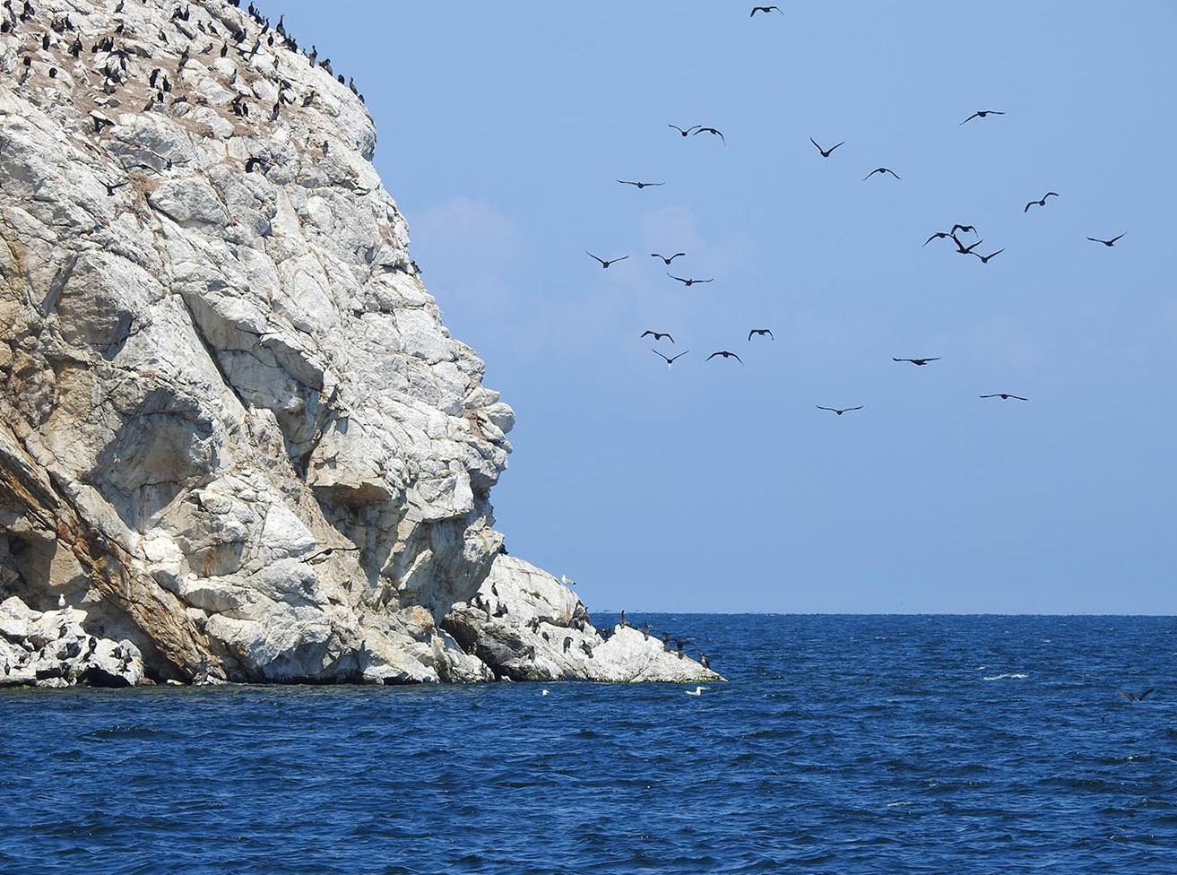 фото "Остров" метки: путешествия, пейзаж, природа, Байкал, бакланы, остров, чайки