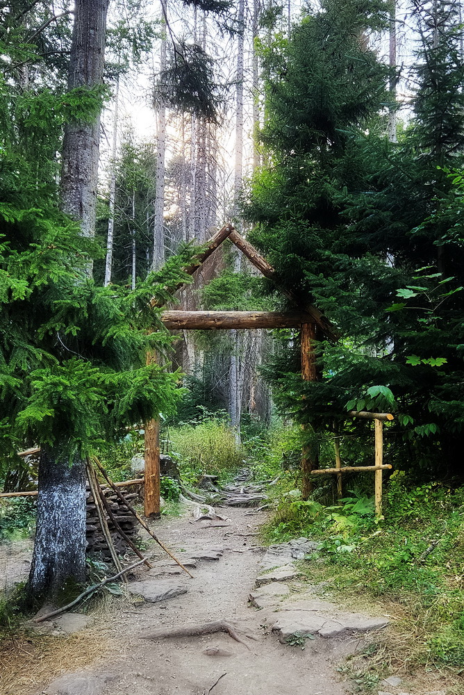 photo "Entrance to the enchanted forest" tags: nature, travel, Asia, forest, mountains, summer