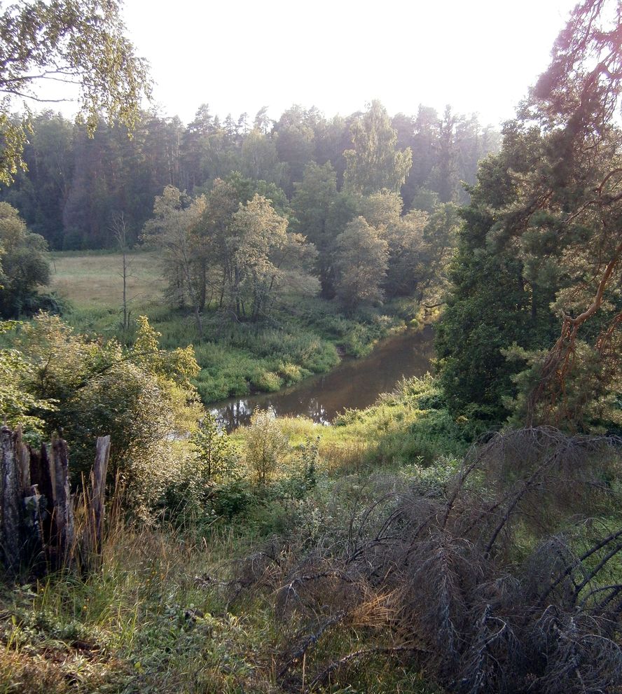 photo "***" tags: , 